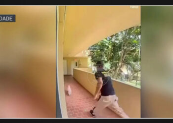 Police arrest man caught on viral video kicking dog in Only in Dade footage