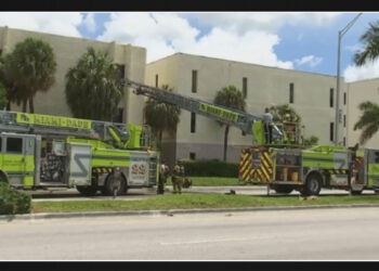 The Miami-Dade public safety head didn't approve the training exercise that killed a firefighter's son.