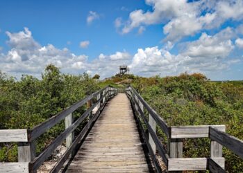 Florida Democrats demand investigation into state parks development plans