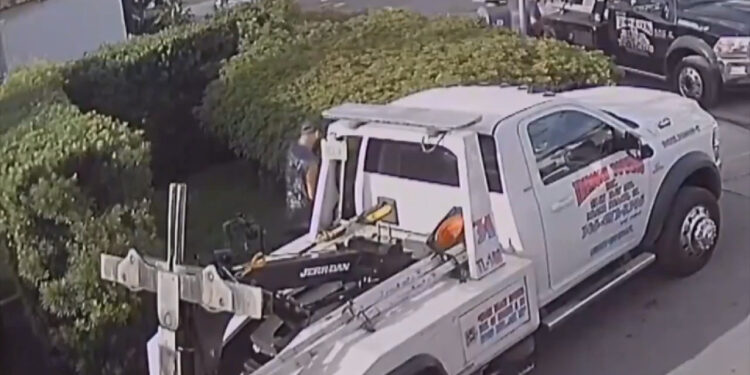 Man caught on video slashing 4 tires in South Beach tow yard after being denied his mother's towed car